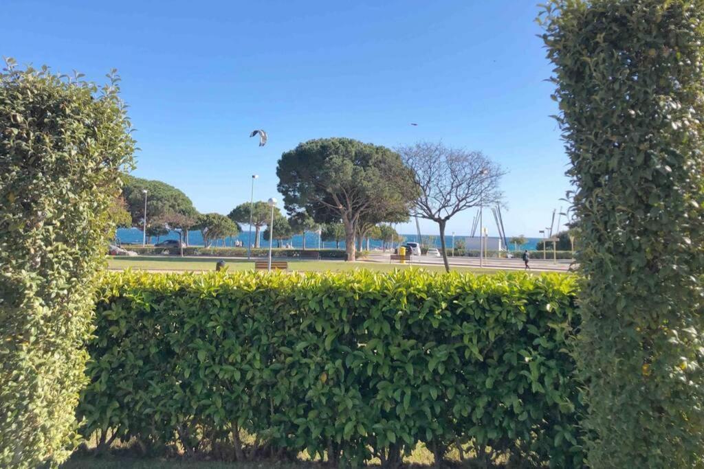 Edifici Ciutadella Appartement
